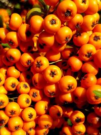 High angle view of tomatoes for sale in market