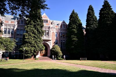 Trees and buildings in lawn