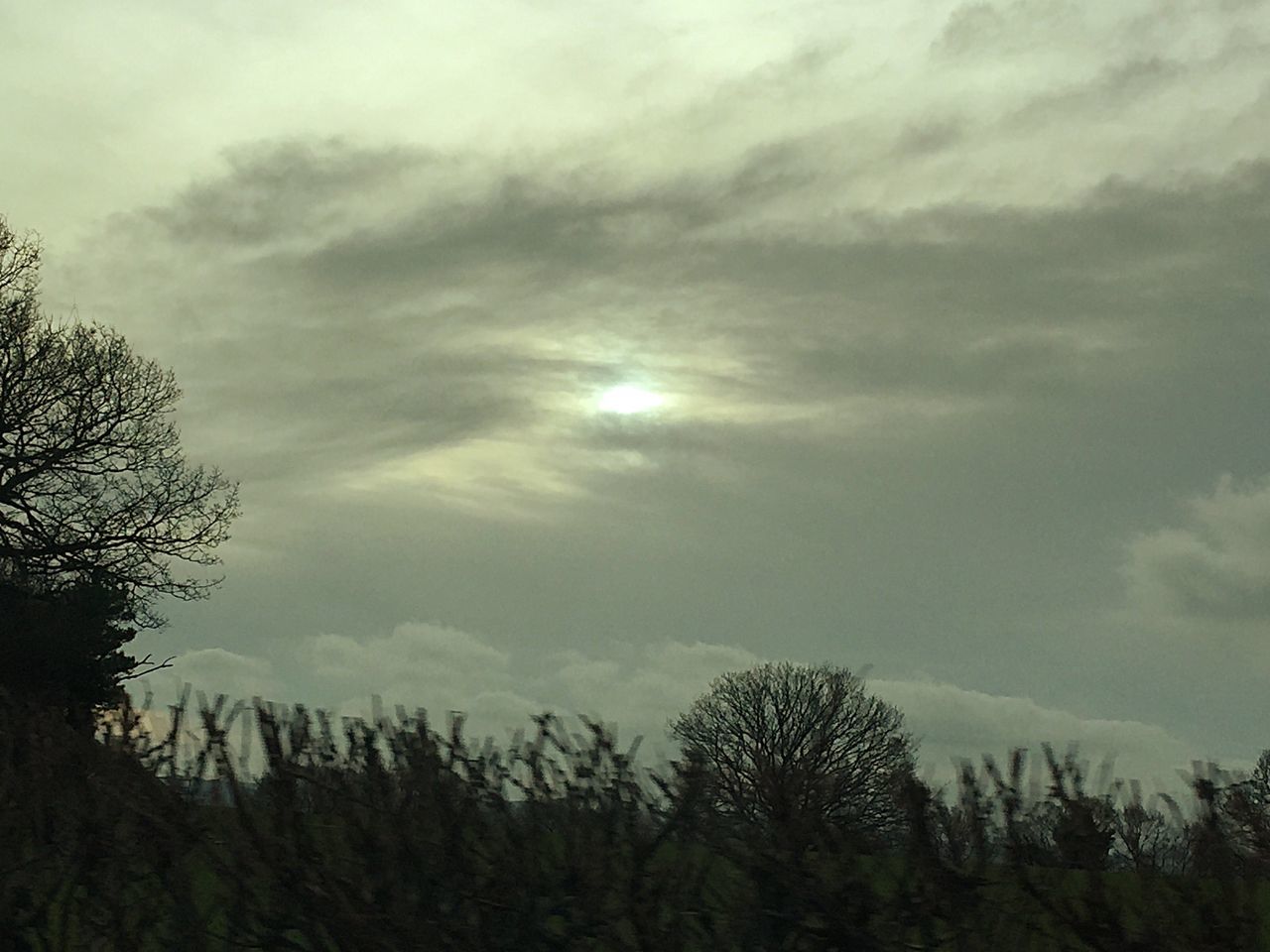 sky, tree, tranquility, silhouette, cloud - sky, tranquil scene, beauty in nature, scenics, low angle view, nature, cloudy, growth, cloud, sun, idyllic, weather, sunlight, outdoors, no people, sunbeam