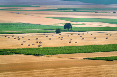 High angle view of hay bales on field