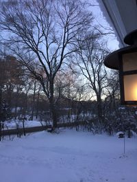 Bare trees on snow covered landscape