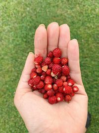 Close-up of hand holding strawberry
