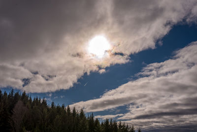 Low angle view of trees against sky