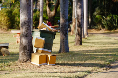 Birdhouse on tree trunk in park