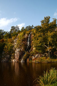 River amidst trees in forest against sky