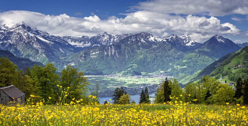 Scenic view of field by mountains against sky