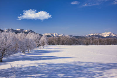 Snowy scenery of east hokkaido in winter