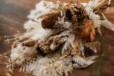 Close-up of dried plant