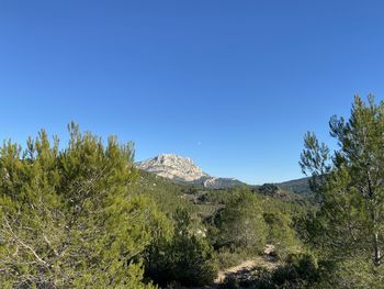 Scenic view of landscape against clear blue sky