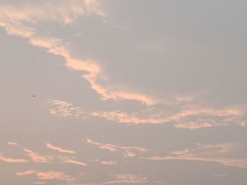 Low angle view of bird flying in sky