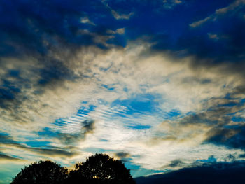 Low angle view of trees against cloudy sky