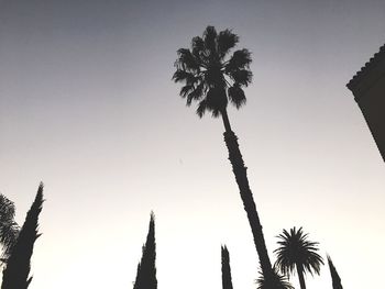 Low angle view of silhouette trees against sky