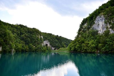 Scenic view of lake by trees against sky