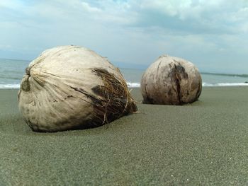 Close-up of pebbles on beach against sky