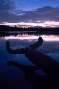 Fallen log over lake against sky during sunset