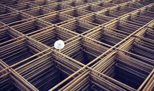 View of dandelion on stack of metal construction material