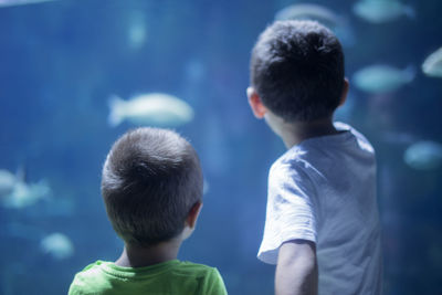 Close-up of brothers in aquarium