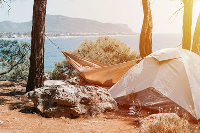 Tent vacation on the seashore. man napping in a hammock and a pet dog. camping on a trip and hiking