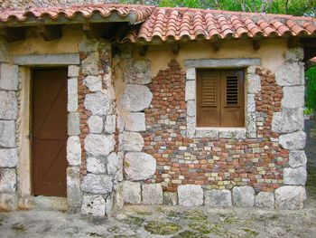 Close-up of ivy on house