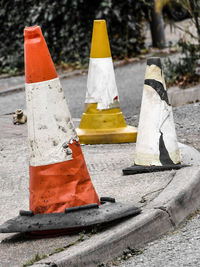 Close-up of yellow flower