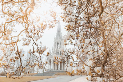 Low angle view of bare tree