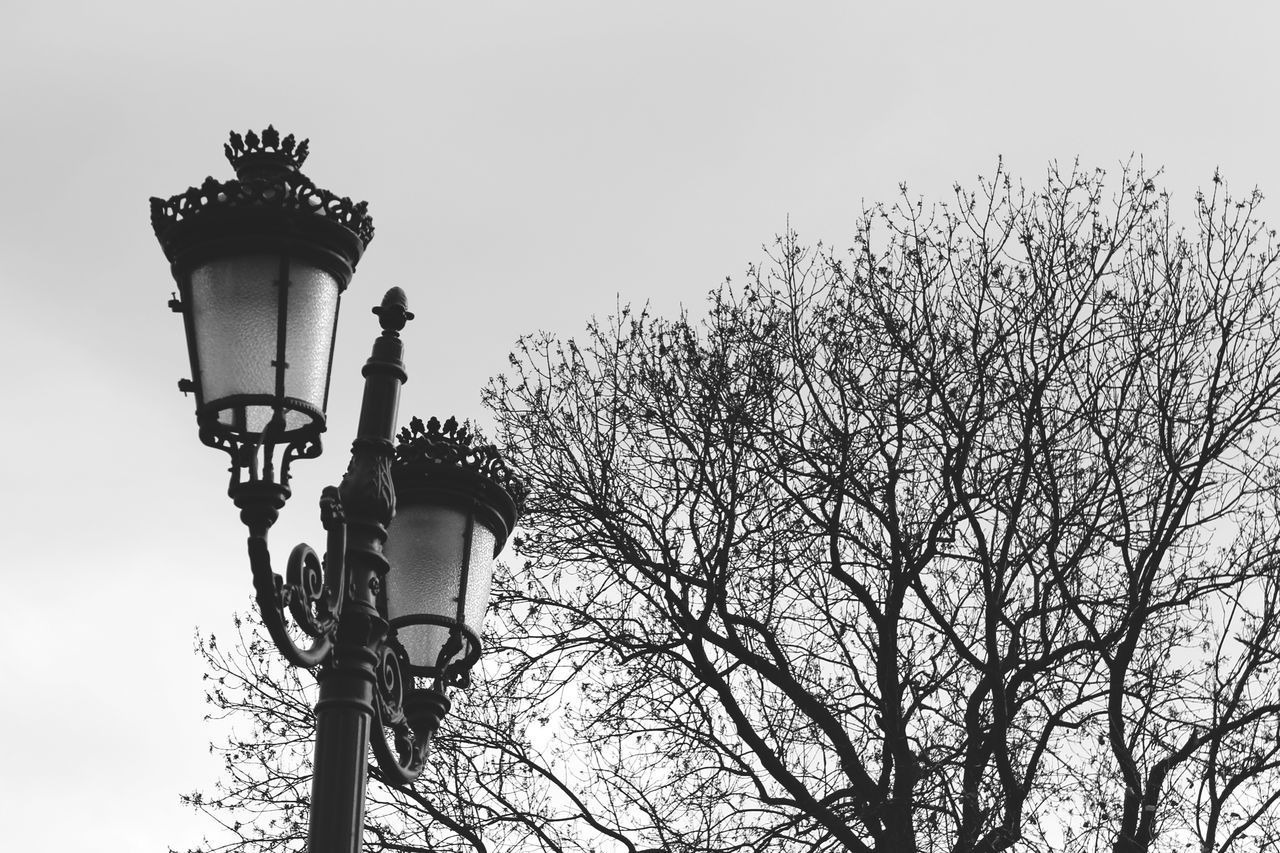 LOW ANGLE VIEW OF STREET LIGHT AGAINST BARE TREE