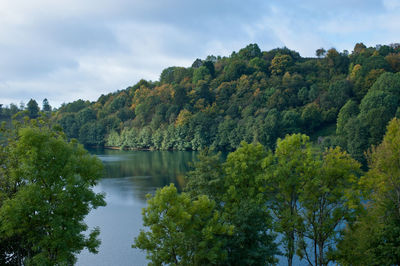 Scenic view of lake amidst trees in forest against sky