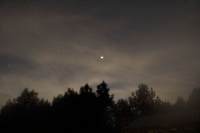 Low angle view of silhouette trees against sky at night