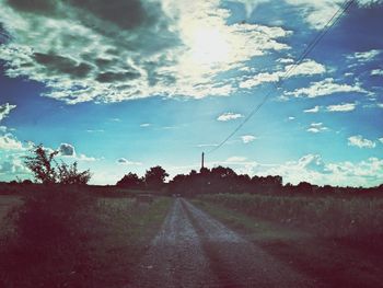 Country road along trees