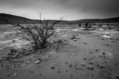 Scenic view of desert against sky