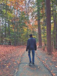 Rear view of man walking by trees during autumn