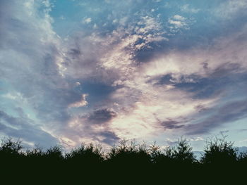 Low angle view of silhouette trees against sky during sunset