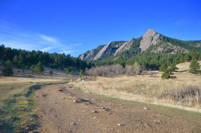 Scenic view of landscape against clear blue sky