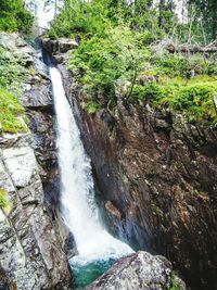 Stream flowing through rocks in forest