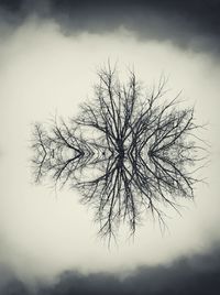 Low angle view of bare tree against cloudy sky