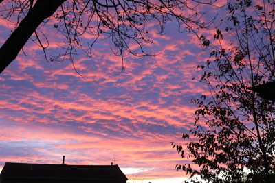 Low angle view of silhouette tree against sky during sunset