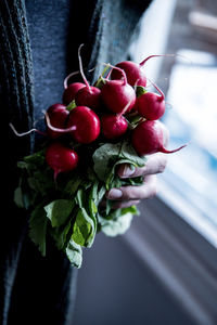 Midsection of person holding radishes at home