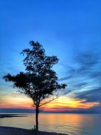 Silhouette tree by sea against sky during sunset