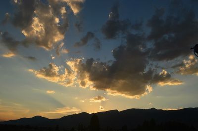 Low angle view of silhouette trees against sky during sunset