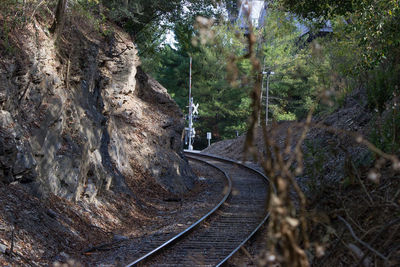 Railroad tracks amidst trees and mountains