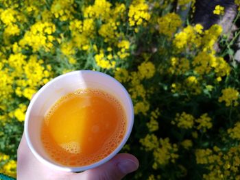 Close-up of hand holding drink