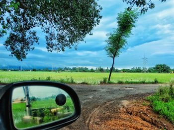 Trees on field against sky seen through car windshield