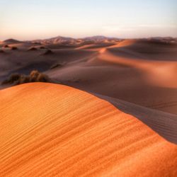 Scenic view of desert against sky during sunset