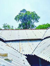 Low angle view of tree and building against sky