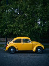 Vintage car on road in forest