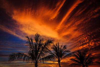 Low angle view of silhouette coconut palm trees against dramatic sky