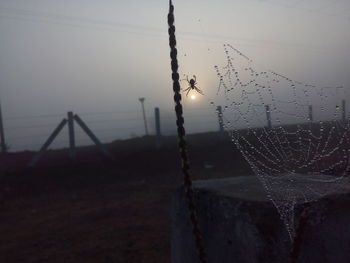 Close-up of water drops on spider web against sky