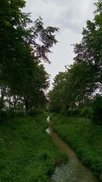 View of footpath amidst grassy field against sky