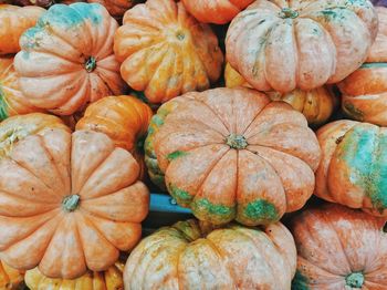 Full frame shot of pumpkins