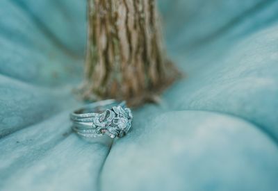 Close-up of ring on pumpkin